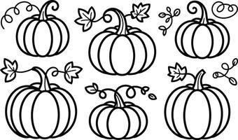 Black and White Pumpkin Illustrations with Vines and Leaves vector
