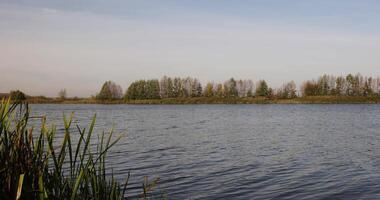 a lake with muddy water in the autumn photo