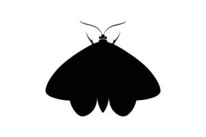 Silhouette of a moth on a white background vector