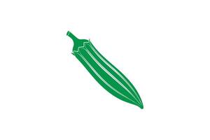 A green vegetable is shown on a white background vector