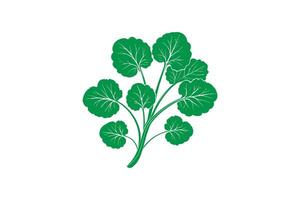 A green leafy plant on a white background vector