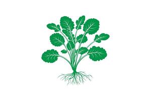 A green plant with roots on a white background vector