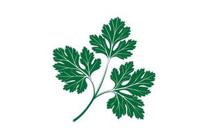 A green leaf with leaves on it vector
