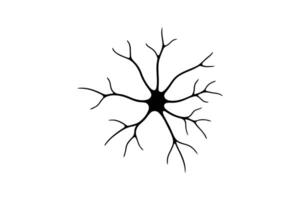 A black and white drawing of a neuron vector