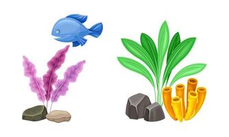 Marine fish and algae seaweed plants set. Underwater sea world flora and fauna elements cartoon illustration vector