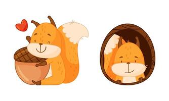 Cute red squirrel in different actions set. Funny little forest animal hugging acorn and peeking out of the hollow cartoon illustration vector