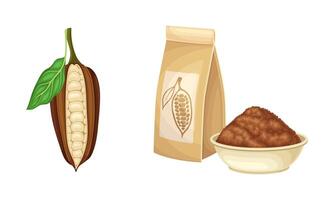 Cocoa products set. Raw cocoa bean and powder illustration vector