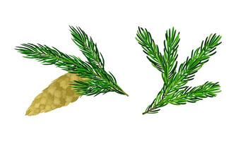 Christmas tree branches with pine cone set cartoon illustration vector