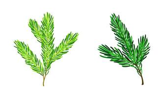 Pine tree branches set. Christmas decoration element cartoon illustratio vector