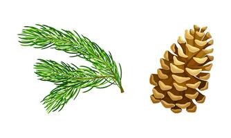 Pine tree branches and cone. Christmas decoration element cartoon illustration vector