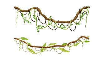 Creeper climbing branches with green leaves set. Tropical vines and trees twigs illustration vector