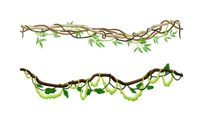 Green climbing ivy creeper branches set. Tropical climbing plants, climbing twigs of tropical vines and trees illustration