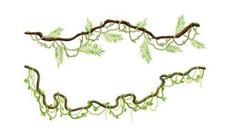 Green climbing branches set. Tropical climbing plants, twigs of tropical vines and trees illustration vector