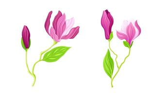Fresh beautiful pink flowers with stem and leaves, greeting card or invitation design illustration vector