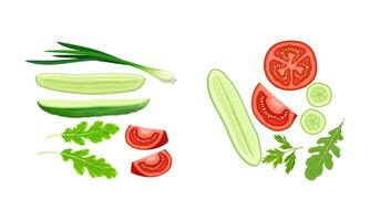 Food ingredients set. Cucumber, tomato,green onion and arugula leaves illustration vector
