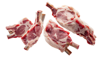 pork chops on a white background png