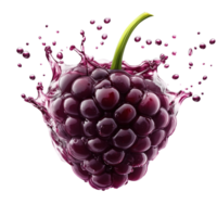 Ripe blackberries in fresh water splash with realistic drops, isolated on transparent background png