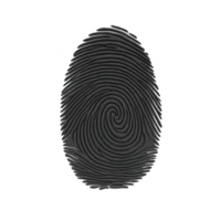detalhado Preto impressão digital em transparência fundo, exibindo único cume padrões e rotações, frequentemente usava para identificação finalidades dentro segurança e forense contextos png