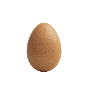 singolo Marrone uovo con liscio superficie è centrato contro pianura sfondo, in mostra suo naturale struttura e semplicità png