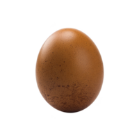 Single brown egg with speckled surface is isolated on transparency background, showcasing its natural texture and color. egg smooth, oval shape is clearly visible png