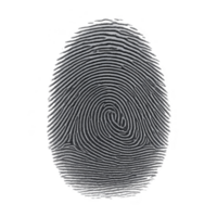 detalhado impressão digital padronizar com intrincado rotações e espirais, isolado em transparência fundo, simbolizando identidade e segurança png