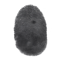 Detailed fingerprint image showcasing unique patterns and ridges, often used for identification and security purposes. intricate design highlights individuality of human fingerprints png