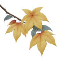 Golden autumn leaves with touch of red and blue hues on branch, showcasing beauty of fall foliage. delicate veins and vibrant colors create serene and natural scene png