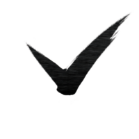 Bold black check mark with textured brushstroke design on transparent background, symbolizing approval or completion png
