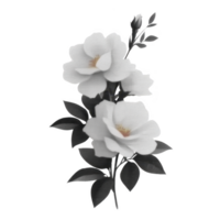 Delicate arrangement of white flowers with soft petals and dark green leaves, creating serene and elegant composition. contrast between flowers and leaves adds depth and beauty png