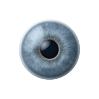 Detailed close up of blue human eye iris with intricate patterns and textures, showcasing unique radial design and vibrant color. image highlights complexity and beauty of eye png
