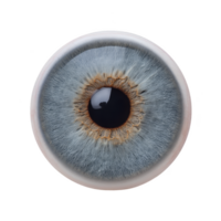 Detailed close up of human eye with blue iris and intricate patterns, showcasing beauty and complexity of eye structure png