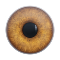 This is image of detailed, realistic brown eye with intricate patterns in iris. eye is centered and isolated on transparency background, highlighting its texture and color png