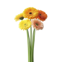 Vibrant bouquet of gerbera daisies in shades of yellow and orange with long green stems, creating cheerful and lively display png