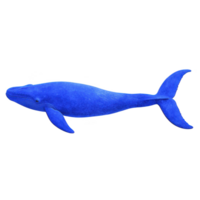 Majestic blue whale swimming gracefully ocean, showcasing its massive size and vibrant blue color against clear background. whale streamlined body and gentle expression evoke sense of wonder png