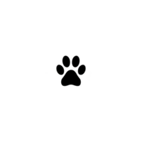 Simple black paw print icon is centered transparency background, symbolizing animals or pets. minimalist design is often used pet related graphics or logos. paw print icon transparency background png