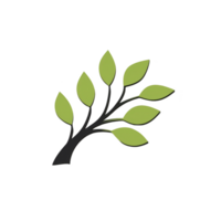 Simple illustration of tree branch with green leaves on transparency background, conveying natural and minimalist design png