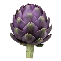 Vibrant purple artichoke with layered petals and green stem, showcasing its natural beauty and intricate texture. artichoke is isolated on transparency background png