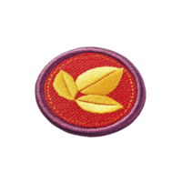 Round embroidered patch features vibrant design with yellow leaves on red background, bordered by purple edge. patch conveys sense of nature and creativity png