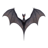 Menacing bat with outstretched wings and fierce expression, showcasing its sharp features and dark, leathery texture. bat wingspan and detailed anatomy are highlighted against plain background png