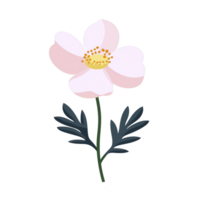 Delicate pink flower with yellow center and green leaves, isolated on transparency background, exudes simplicity and elegance png