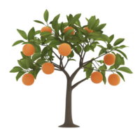 Vibrant orange tree with lush green leaves and ripe oranges hanging from its branches, symbolizing growth and abundance. tree stands against plain background, highlighting its natural beauty png