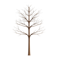 Leafless tree with intricate branches stands against transparent background, showcasing its detailed structure. bare branches create stark, artistic silhouette png