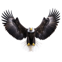 Majestic bald eagle with outstretched wings soars gracefully, showcasing its powerful presence and striking features. bird sharp gaze and detailed plumage are captivating png