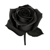 Single black rose with detailed petals and leaves, symbolizing elegance and mystery, is depicted against transparent background. image highlights intricate textures and shadows of flower png