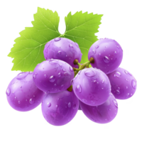 Bunch of fresh purple grapes with water droplets and green leaf, showcasing realistic and vibrant appearance. grapes are clustered together, highlighting their juicy texture png