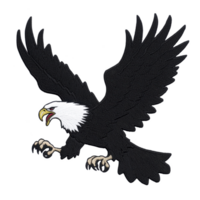 Fierce bald eagle illustration with outstretched wings and sharp talons, showcasing its powerful presence and majestic nature. detailed design captures essence of strength and freedom png