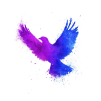 Vibrant watercolor silhouette of bird in flight, blending shades of purple and blue, creating dynamic and artistic effect. splatter adds sense of motion and creativity png