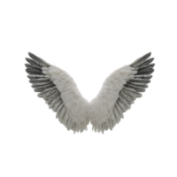 Pair of large, detailed white and gray angel wings are spread open against transparent background, showcasing intricate feather patterns. wings evoke sense of grace and ethereal beauty png
