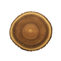 Cross section of tree trunk reveals detailed growth rings, showcasing natural texture and age of wood. concentric circles highlight tree history and environmental conditions png