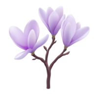 Branch with three delicate purple magnolia flowers in full bloom, showcasing their soft petals and natural elegance. flowers are set against transparent background, highlighting their beauty png